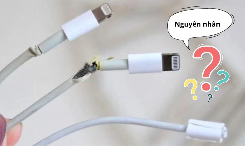cách thay cáp sạc iPhone - Hình 1