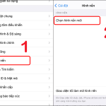 Cách thay đổi hình nền iPhone chi tiết từ A đến Z cho mọi dòng máy cách thay đổi hình nền iphone