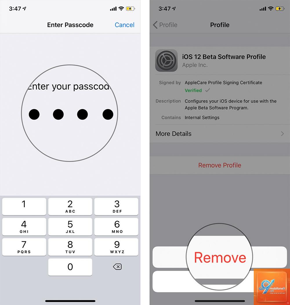 cách thoát chương trình beta apple - Hình 5