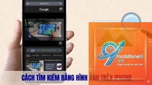 cách tìm ảnh theo vật thể trên iphone