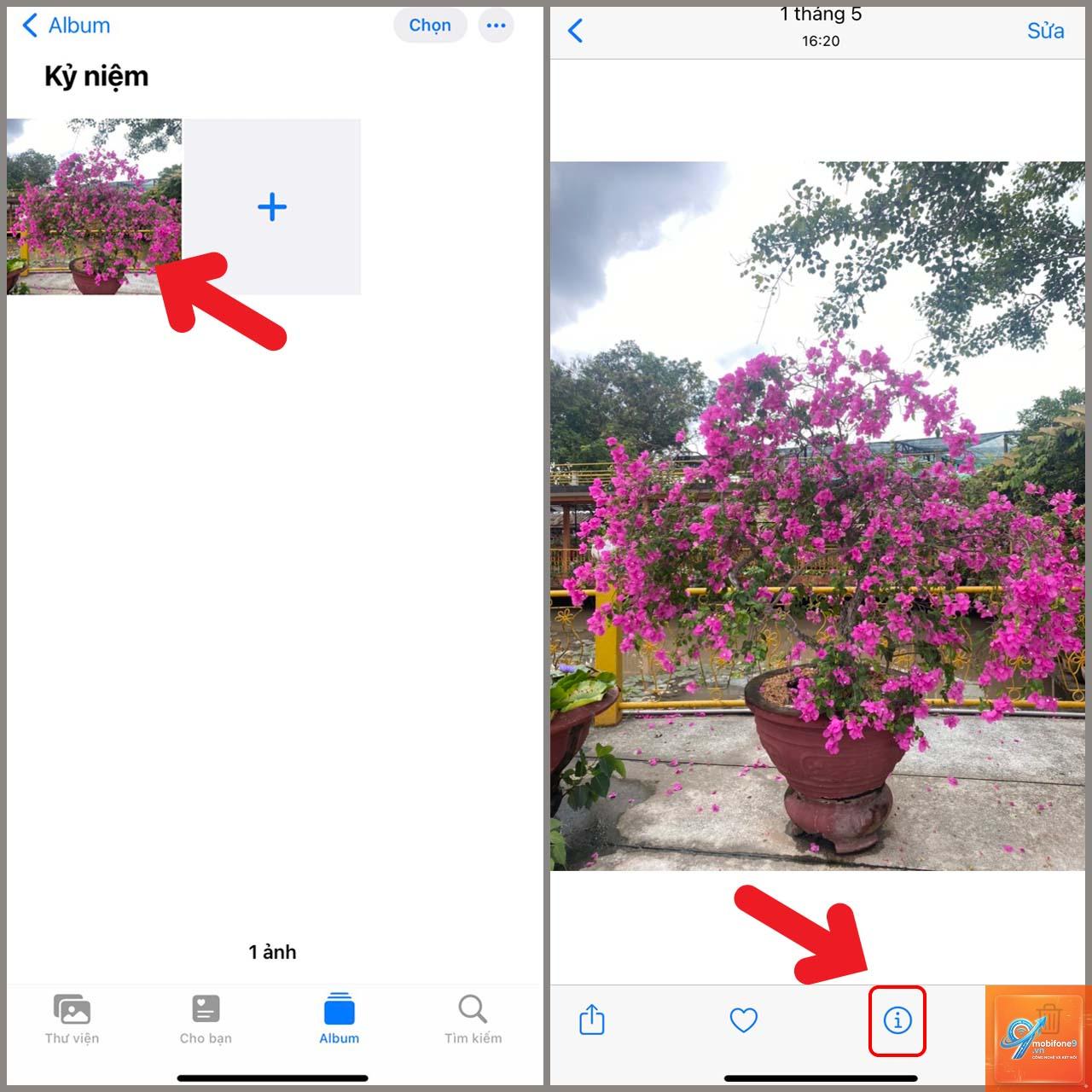 cách xem spatial photo trên iphone - Hình 4