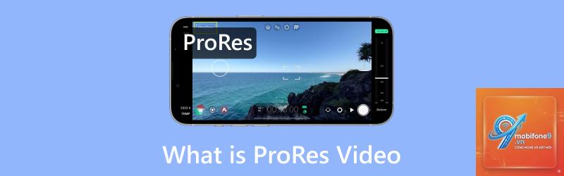 cách xuất video prores - Hình 3