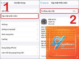 cập nhật phần mềm apple là gì
