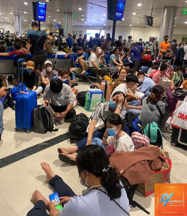 check in bị lỗi sau cập nhật - Hình 1