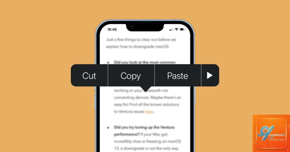 clipboard iphone bị lỗi - Hình 4