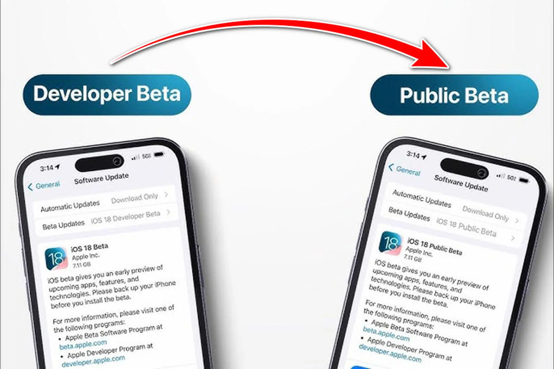 developer beta là gì - Hình 2