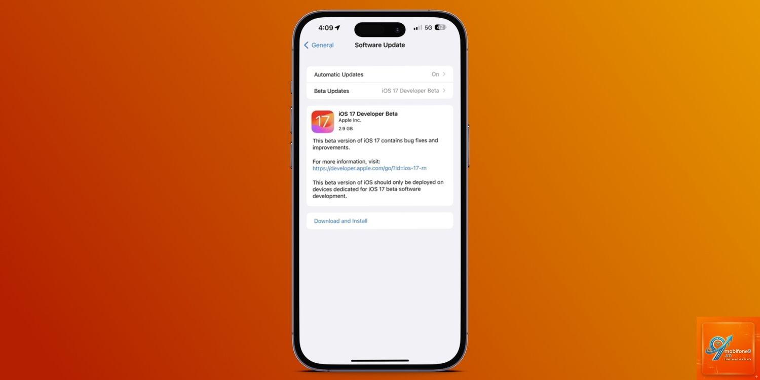 developer beta là gì - Hình 4