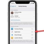 Family Sharing không hoạt động với Apple Music: Nguyên nhân và cách khắc phục triệt để