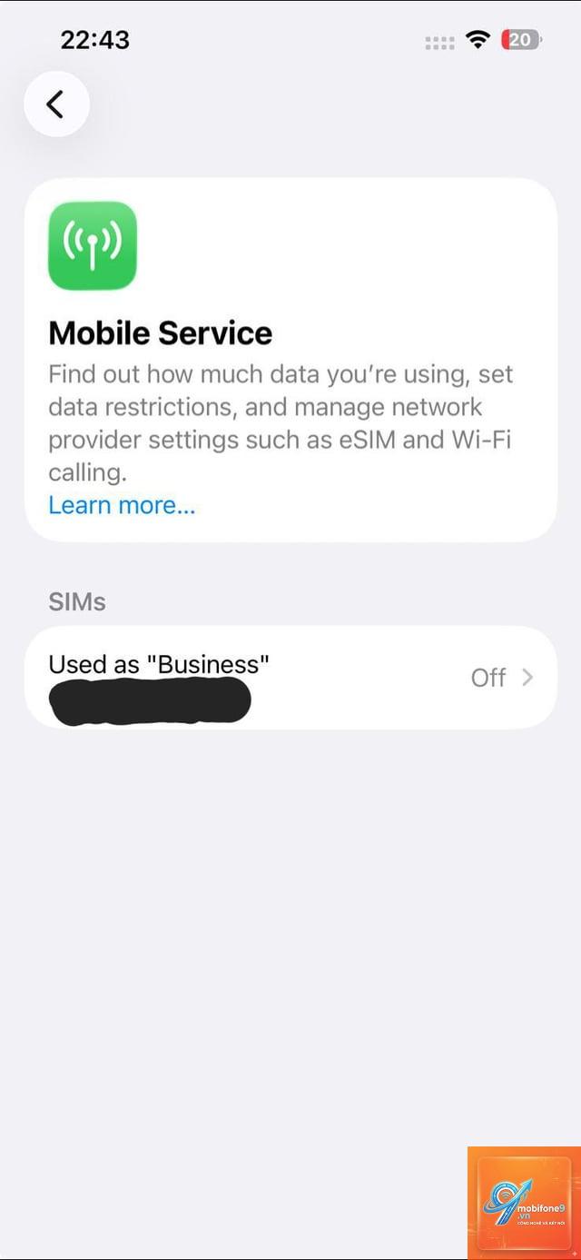 hai sim iphone bị lỗi sau cập nhật ios - Hình 2