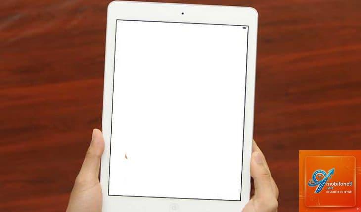 iPad bị điểm chết màn hình - Hình 1