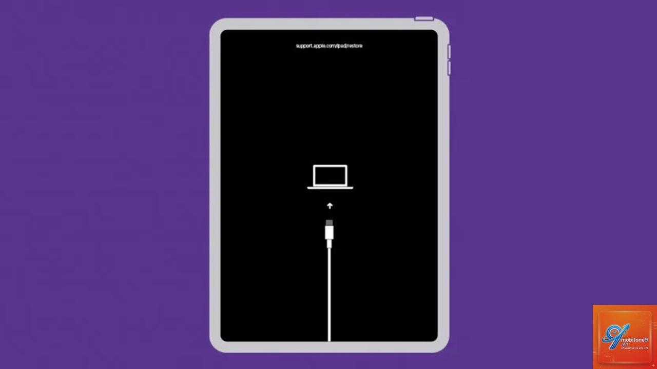 iPad bị khóa iCloud - Hình 3
