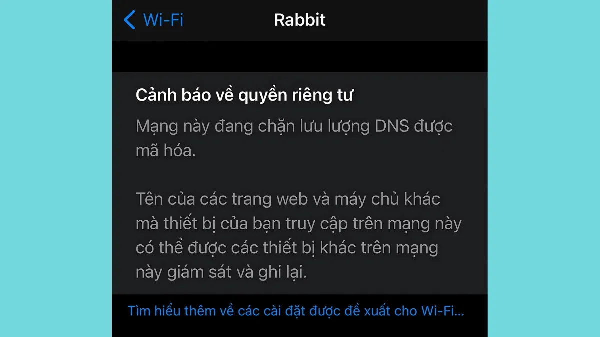 iPad bị lỗi DNS - Hình 3