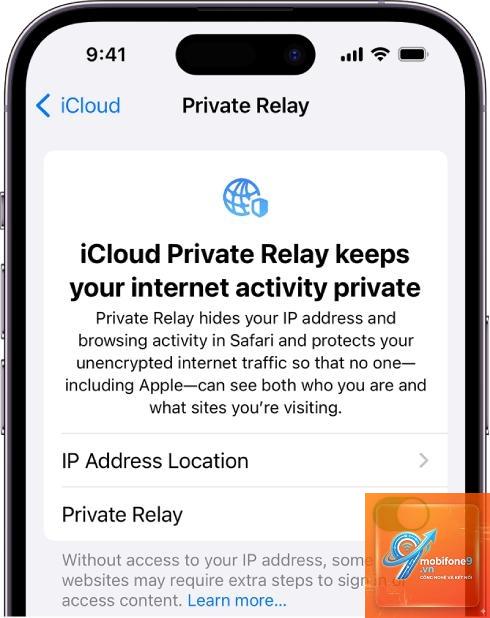 iPad bị lỗi DNS - Hình 5