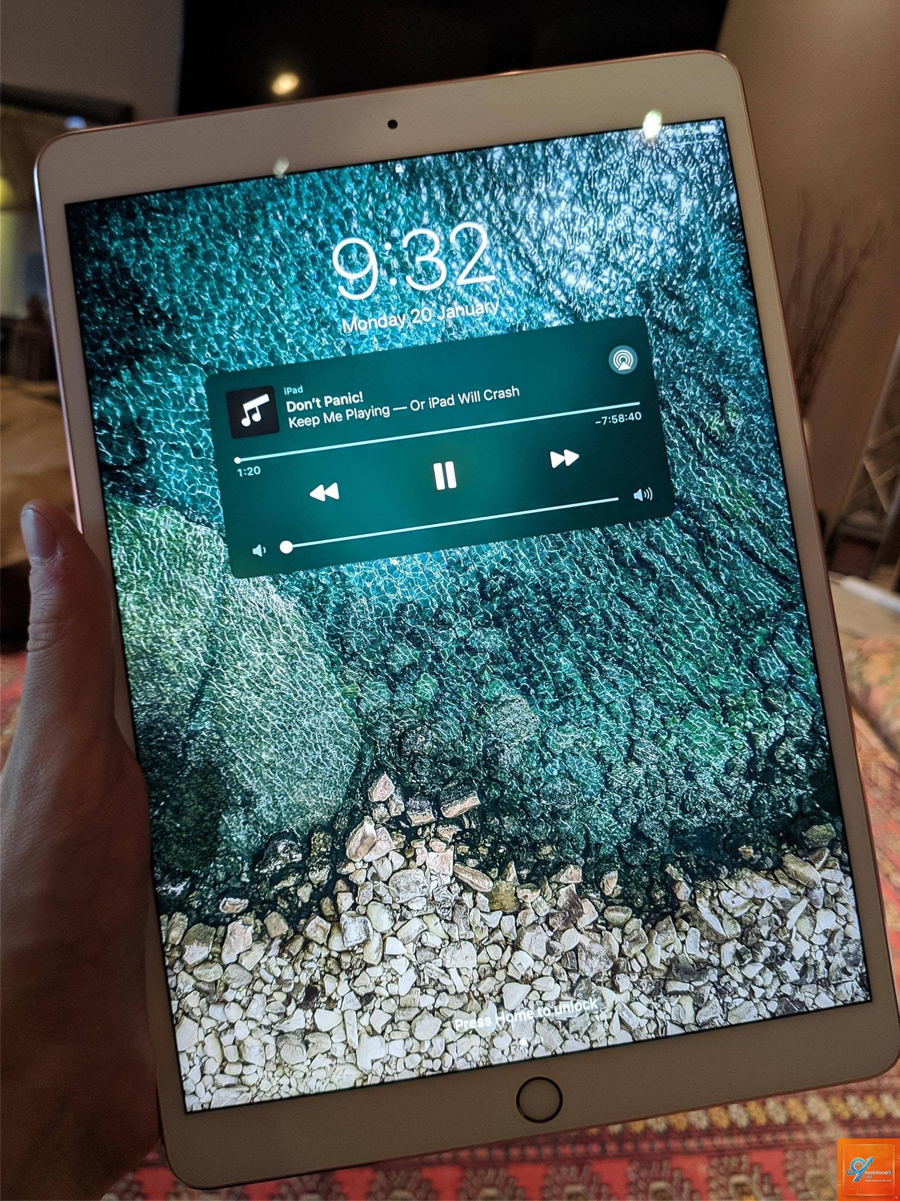 iPad bị lỗi kernel panic - Hình 5