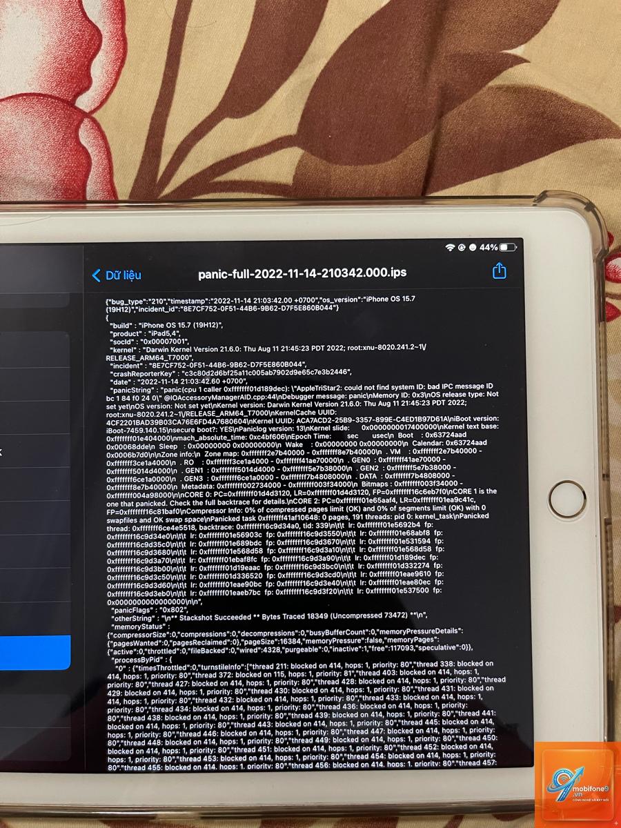 iPad bị lỗi kernel panic - Hình 1