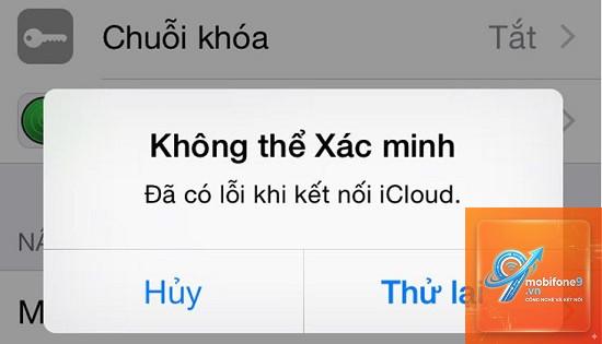 iPad bị lỗi xác minh Apple ID - Hình 4