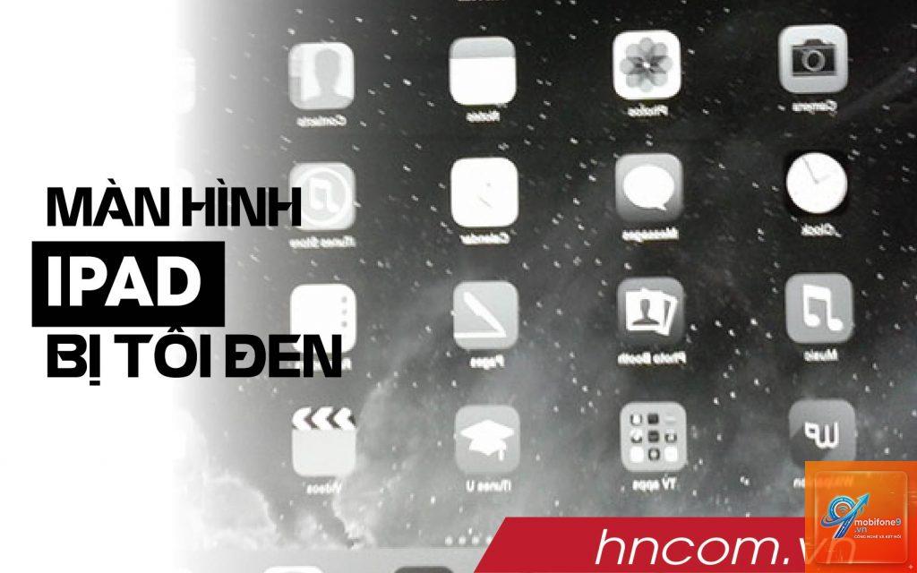 iPad bị mất màu màn hình - Hình 2