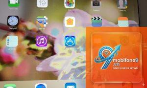 iPad bị mất màu màn hình
