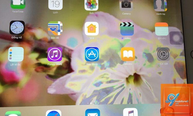 iPad bị mất màu màn hình - Hình 1