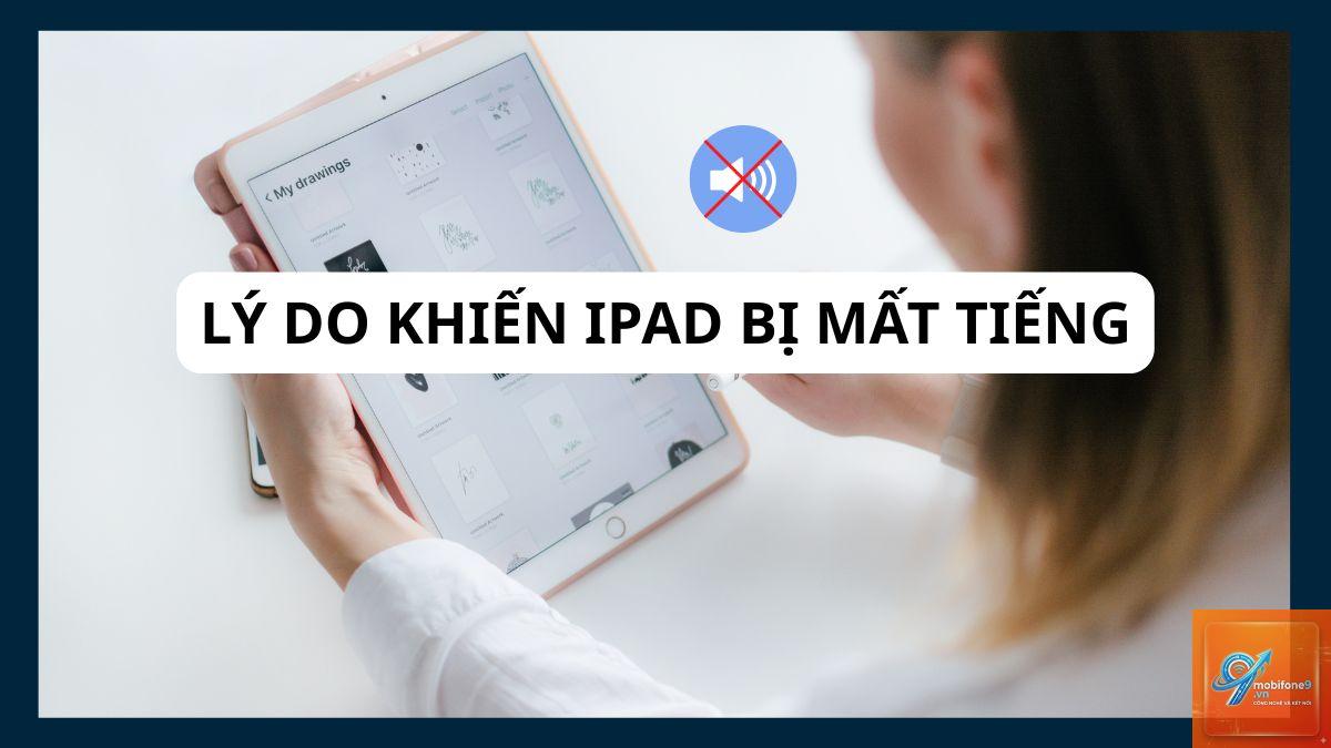 iPad bị mất tiếng khi xem video - Hình 5