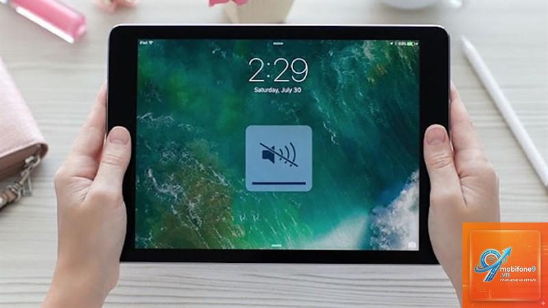 iPad bị méo âm thanh - Hình 2