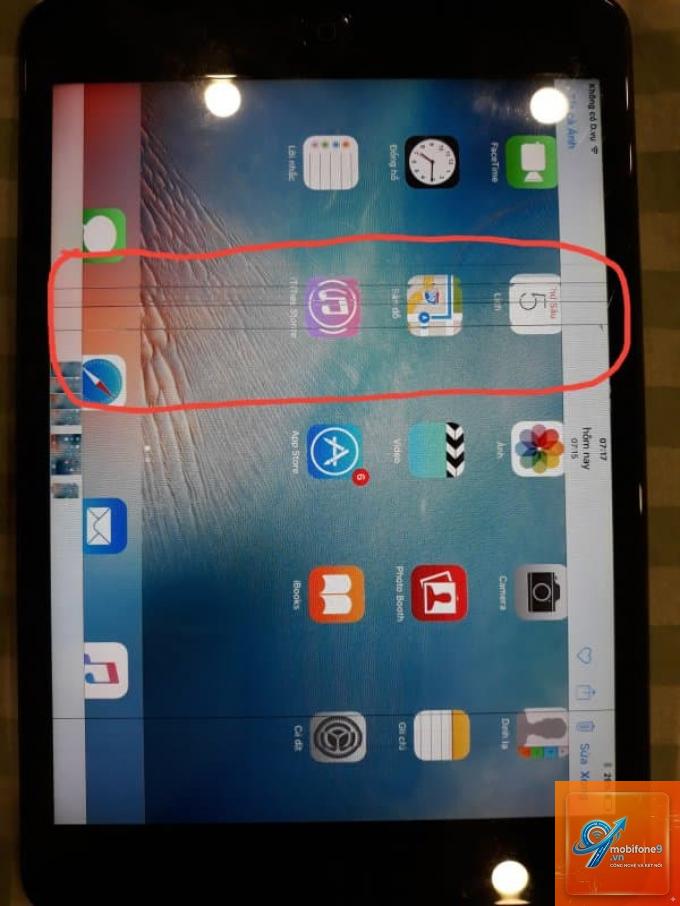 iPad bị sọc hồng màn hình - Hình 1