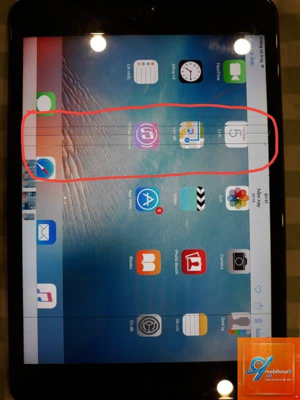 iPad bị sọc màn hình - Hình 1