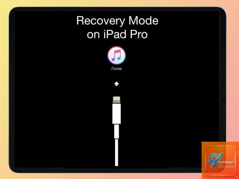 iPad bị treo DFU mode - Hình 3