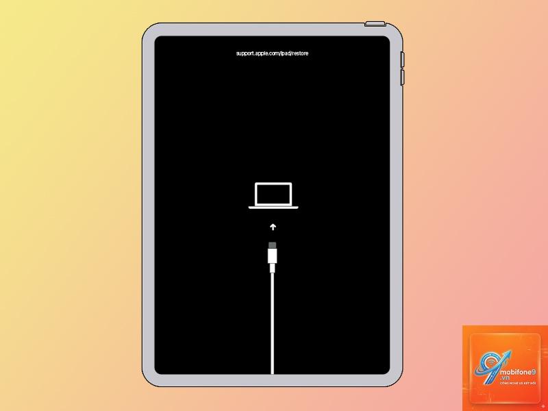 iPad bị treo logo Apple - Hình 2