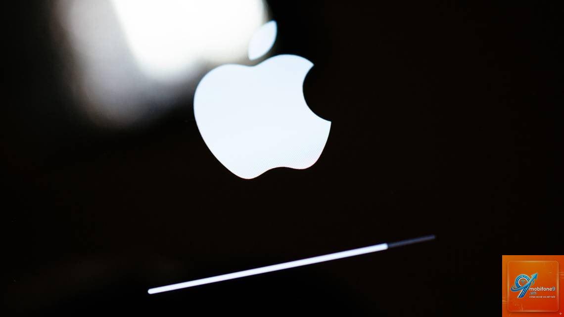 iPad bị treo logo Apple - Hình 4