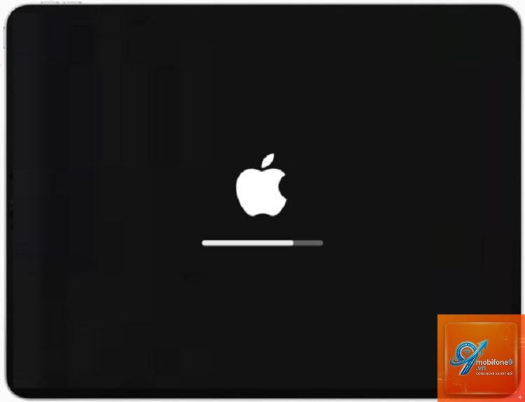iPad bị treo logo Apple - Hình 1