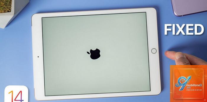 iPad bị treo táo - Hình 2