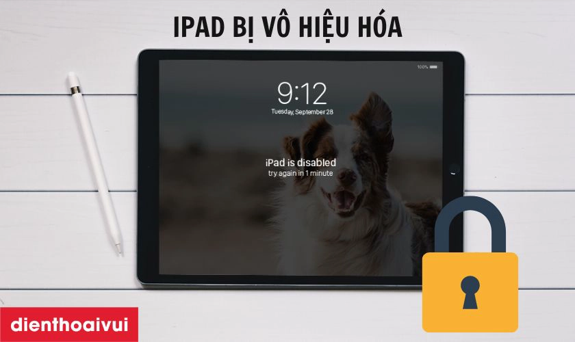 iPad bị vô hiệu hóa do nhập sai mật khẩu - Hình 4