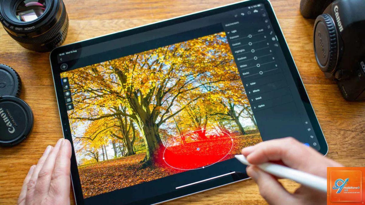 iPad cho chỉnh sửa ảnh - Hình 4