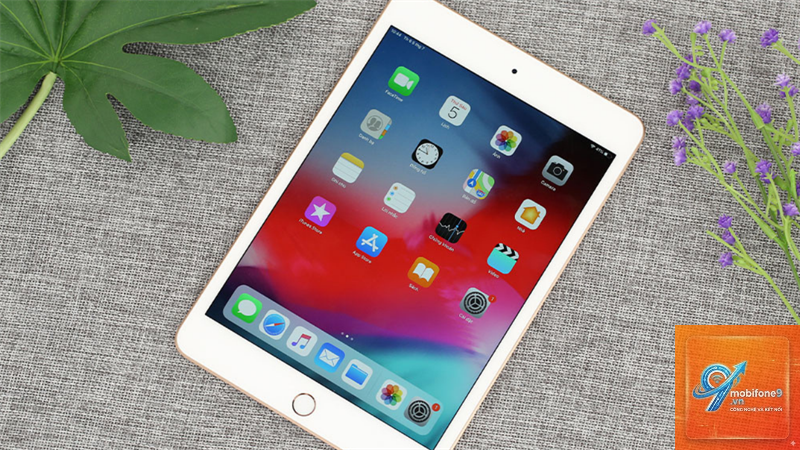 iPad cho học sinh cấp 1 - Hình 2