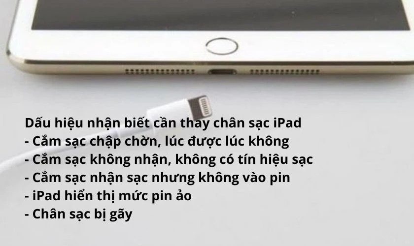 iPad hỏng cổng sạc - Hình 2
