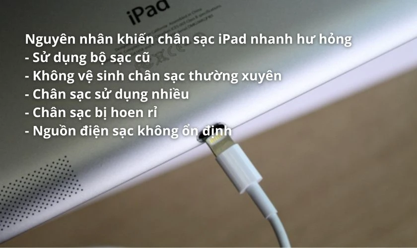 iPad hỏng cổng sạc - Hình 3