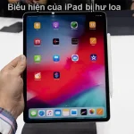 iPad hỏng loa: Nguyên nhân, dấu hiệu nhận biết và cách khắc phục triệt để iPad hỏng loa