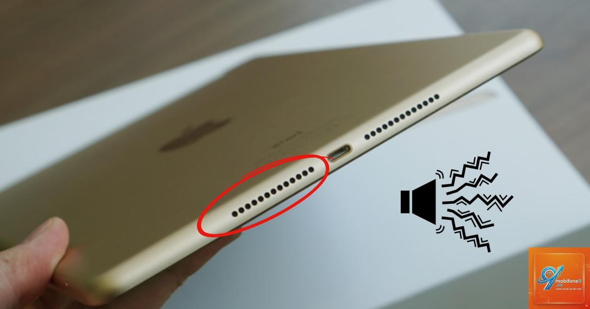 iPad hỏng loa - Hình 4