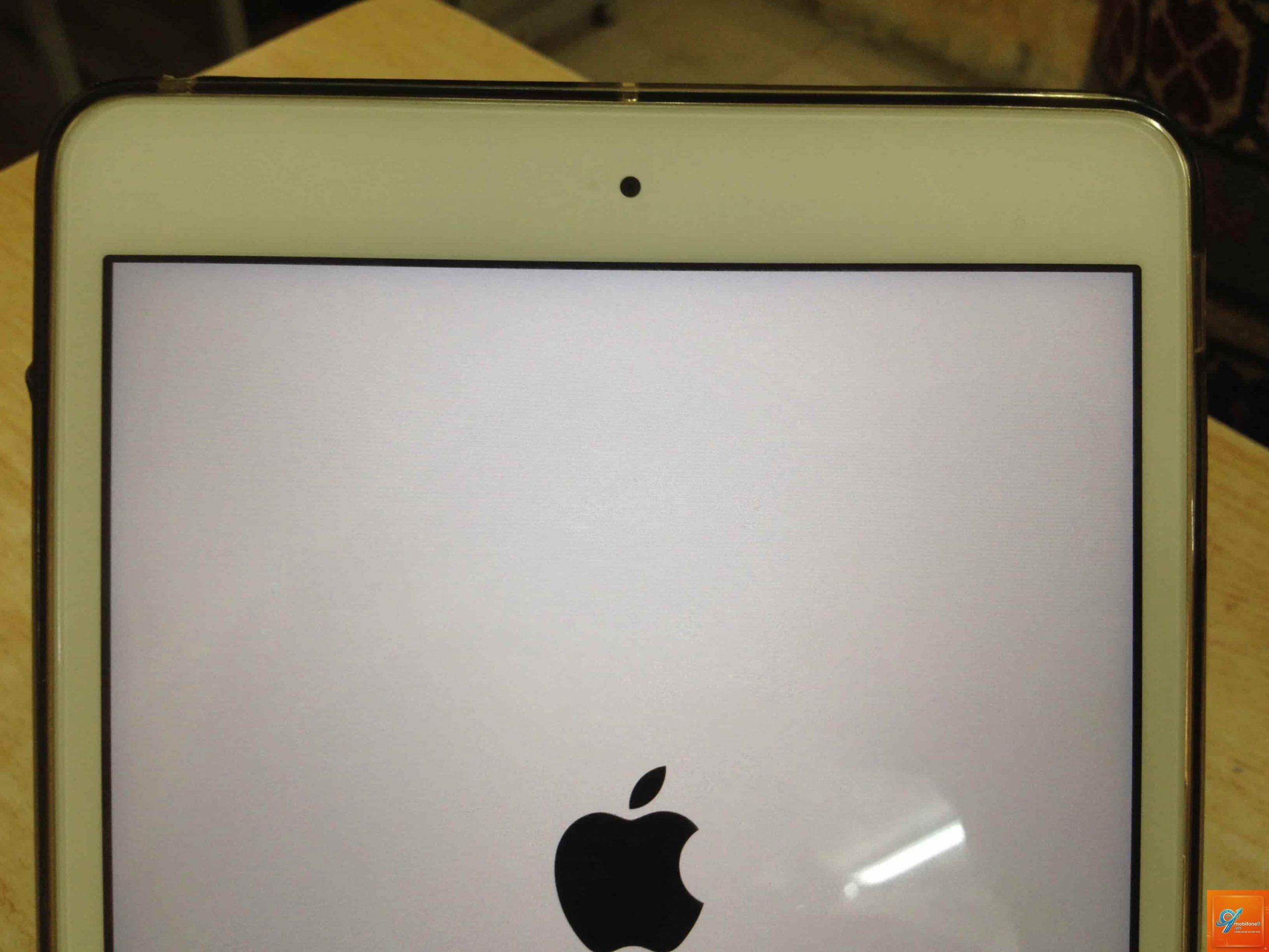 iPad hỏng màn hình LCD - Hình 2