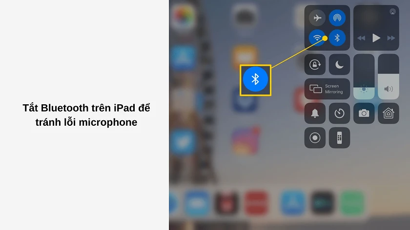 iPad hỏng mic - Hình 3