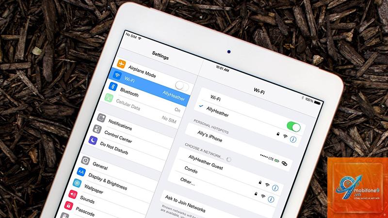 iPad không đăng ký mạng được - Hình 1