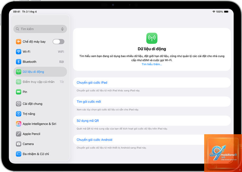 iPad không gọi được dữ liệu di động - Hình 2
