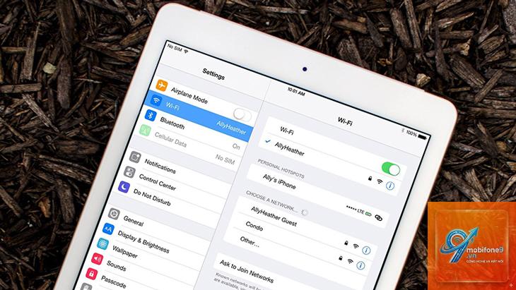 iPad không kết nối được server Apple - Hình 1