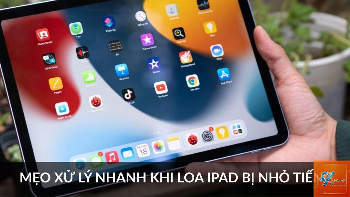 iPad loa nhỏ - Hình 2