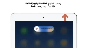 iPad mic bị lỗi