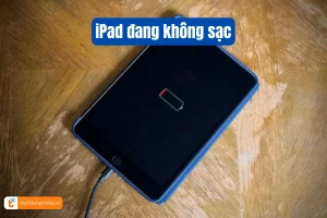 iPad sạc báo không hỗ trợ