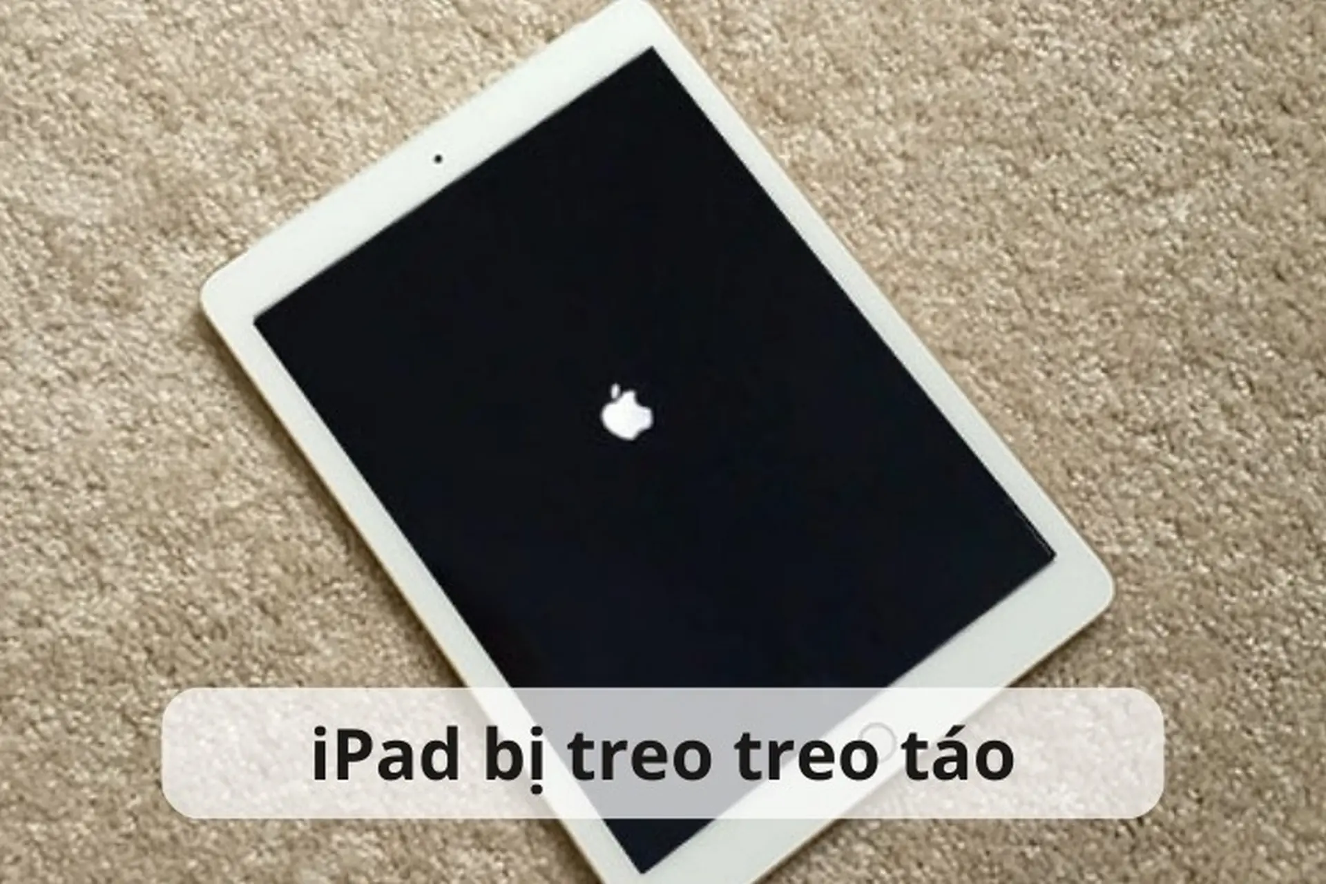 iPad sửa lỗi treo táo - Hình 4