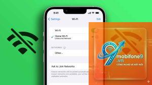 ios 19 không kết nối internet