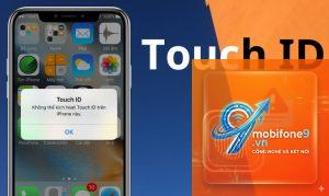 ios 19 không nhận touch id
